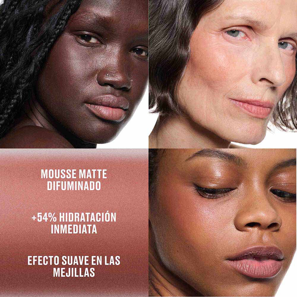 POWDER KISS LIP + CHEEK MOUSSE (MOUSSE MULTIUSOS)